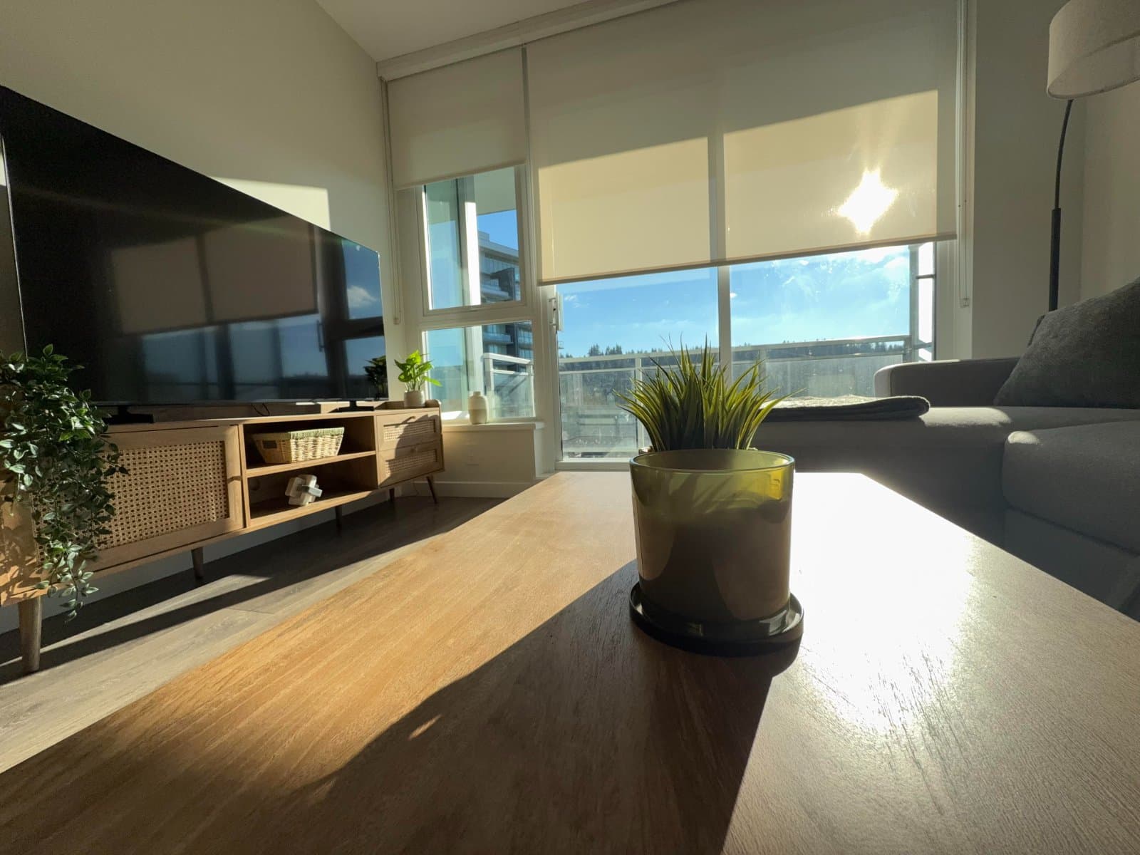 305 MORRISSEY RD in Port Moody - Property View