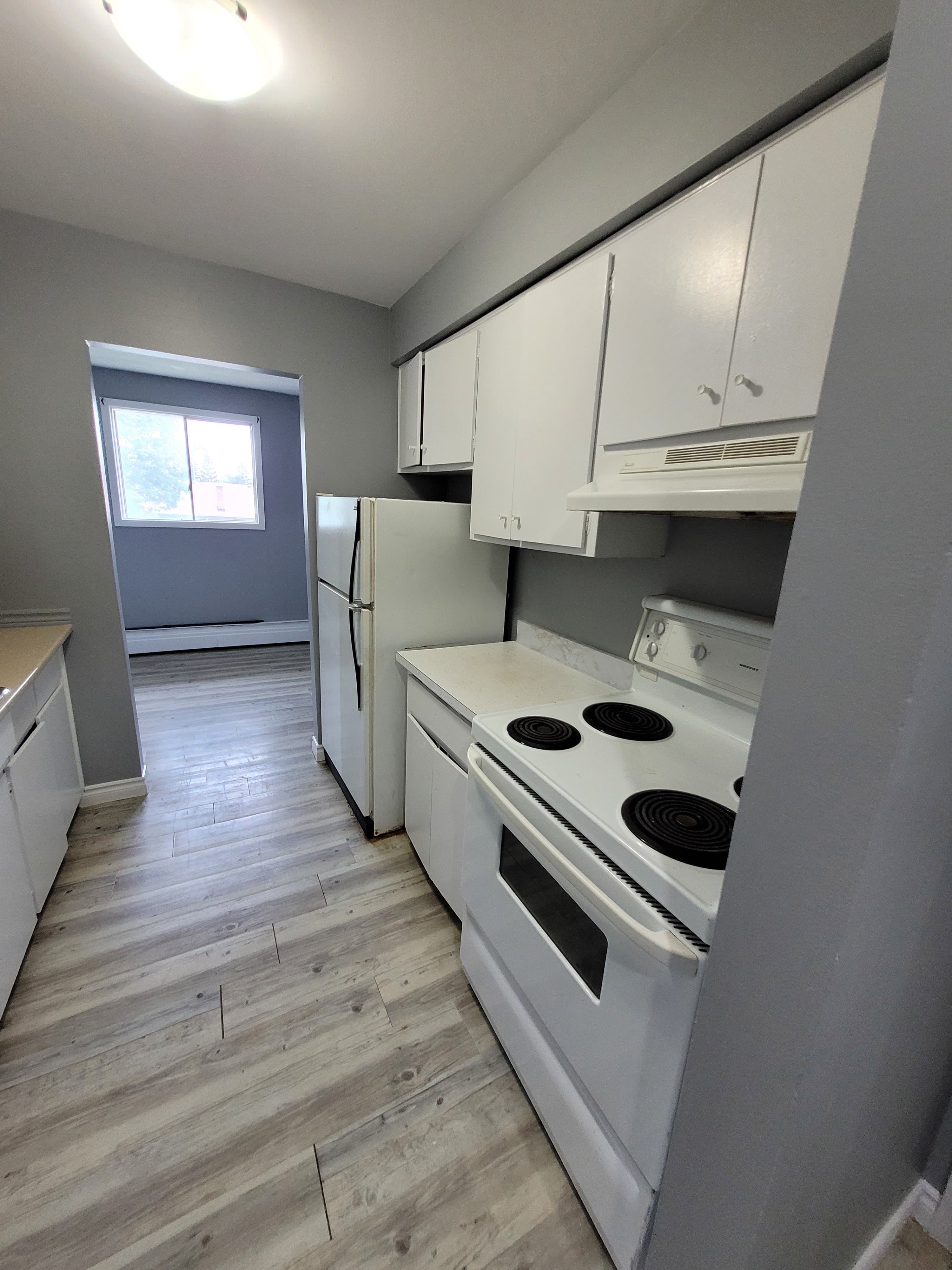 595 SILVERBIRCH RD in Waterloo - Property View
