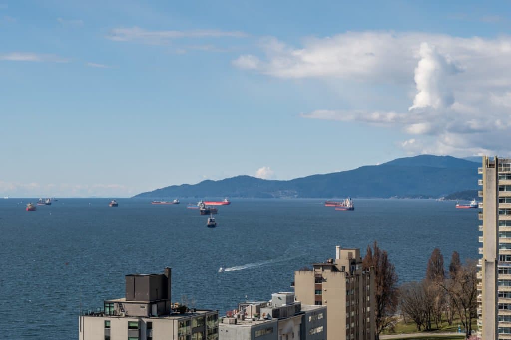 1100 HARWOOD ST in Vancouver - Property View