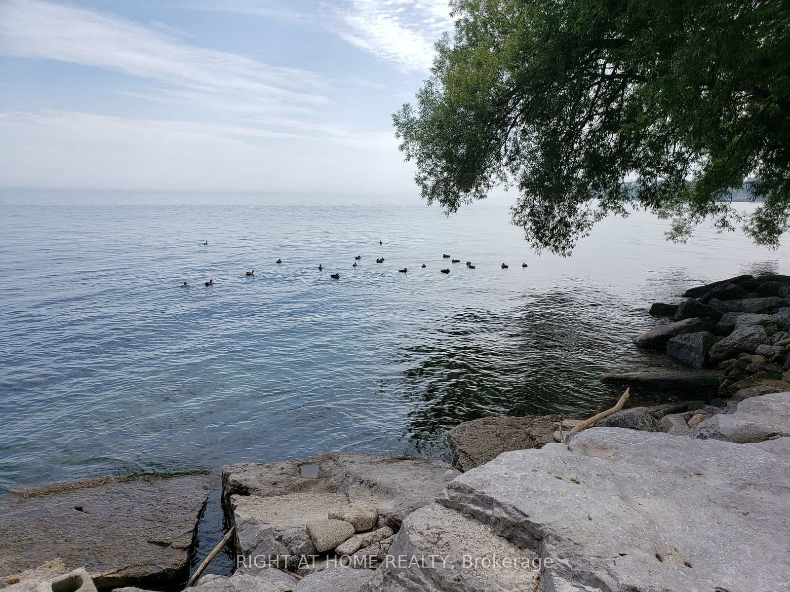 2680 W LAKE SHORE BLVD in Toronto - Property View