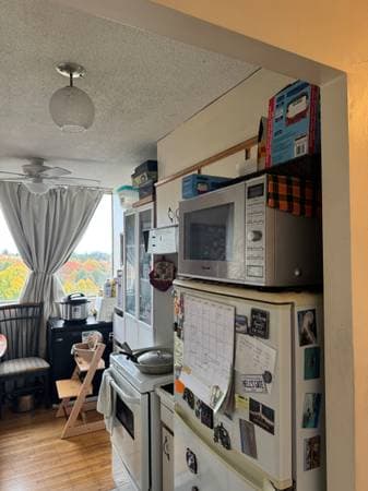 [HIDDEN ADDRESS] - 05389 in Vancouver - Property View