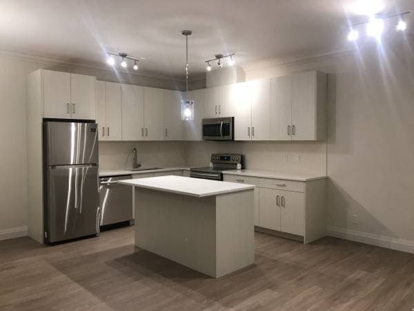 240 MAPLE in Maple Ridge - Property View