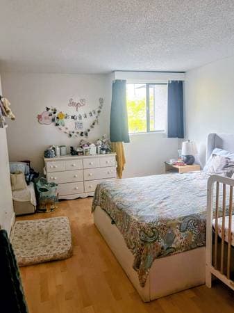 365 GINGER DR in New Westminster