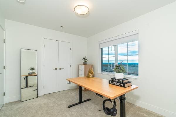1310 MITCHELL in Coquitlam - Property View