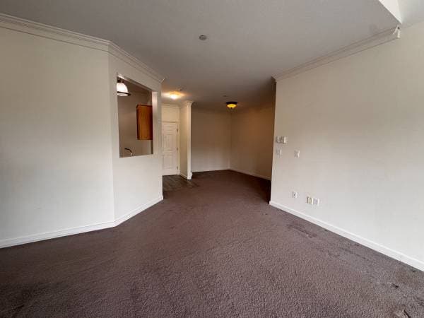 12464 191B AVE in Pitt Meadows