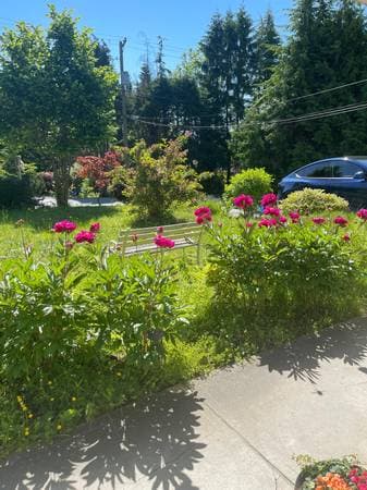 [HIDDEN ADDRESS] - 04491 in West Vancouver
