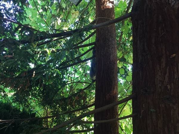 [HIDDEN ADDRESS] - 15333 in Vancouver - Property View
