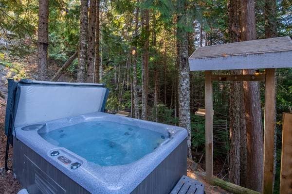 2247 BRANDYWINE in Whistler - Property View