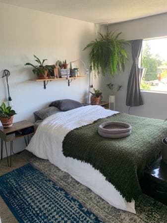 [HIDDEN ADDRESS] - 03879 in Victoria - Property View