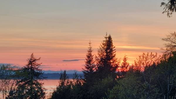 [HIDDEN ADDRESS] - 00762 in Powell River