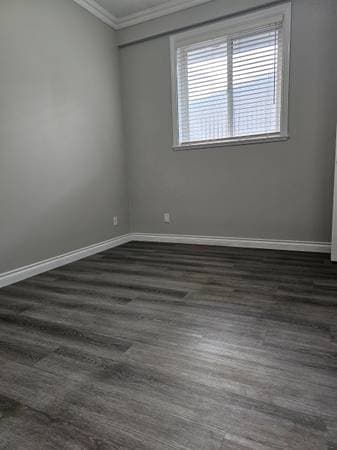 4831 WESTMINSTER HWY in Richmond - Property View