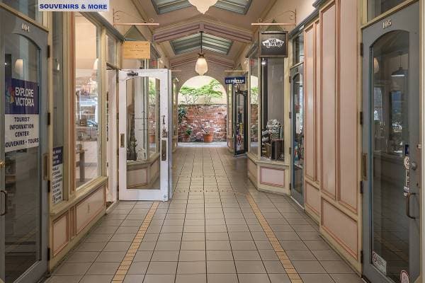 563 JOHNSON ST in Victoria - Property View
