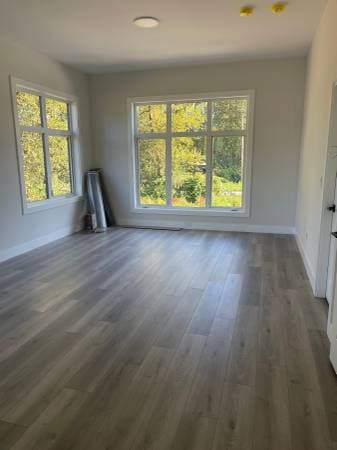 3645 LINCOLN AVE in Coquitlam - Property View
